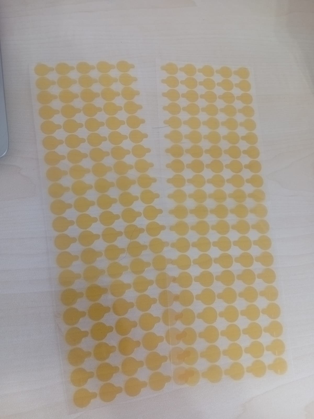 2 Plaka Kamera Koruma Bandı